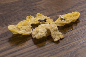 iStock_000082317907_Large.jpg
