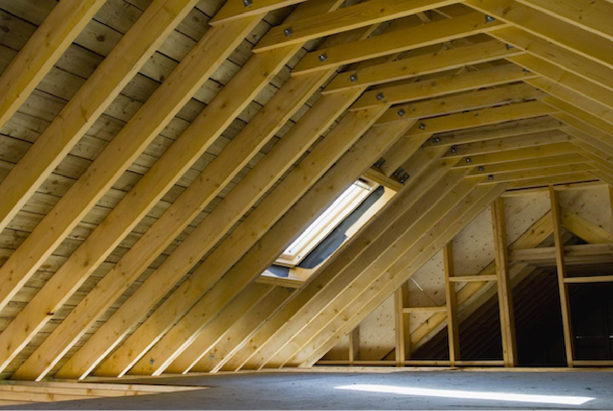 How to Get Rid of Pests in Your Attic?Axatax