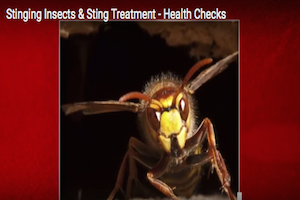 Health Checks: Stinging Insects & Sting Treatment - PestWorld