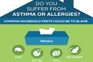 Asthma and Allergy Triggers