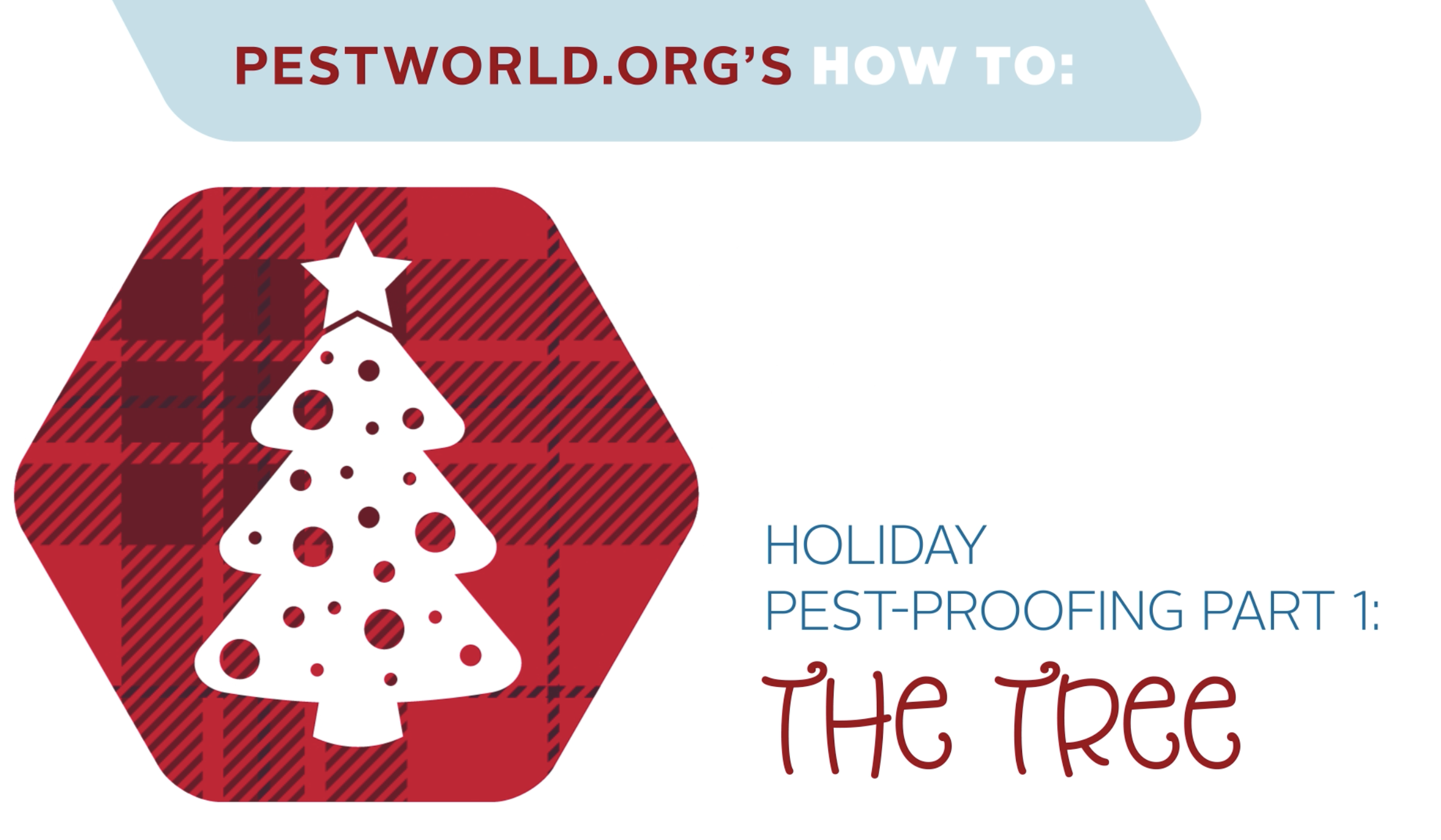 how-to-pest-proof-the-holiday-tree